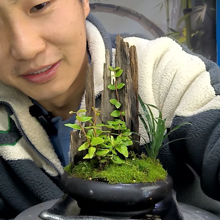 喏*?中青园艺一物一拍花208