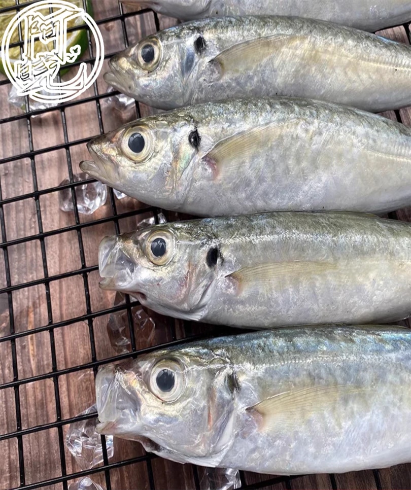 【巴浪鱼】福建纯野生海捕顺丰京东包邮一斤3-4条大规格