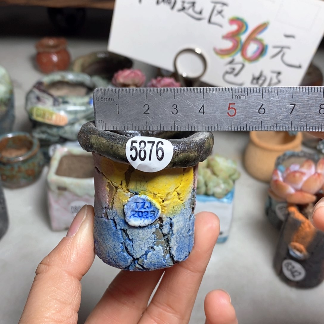 花盆拍3送一个小礼物