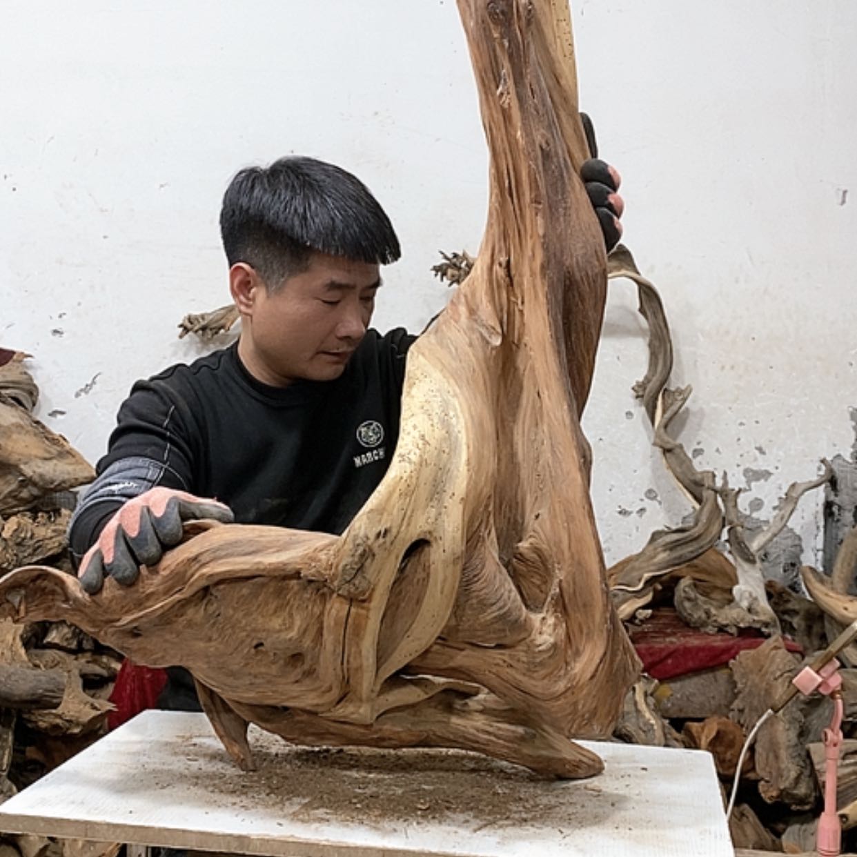 【闪购商品】柏木大***柏我们都是好孩子