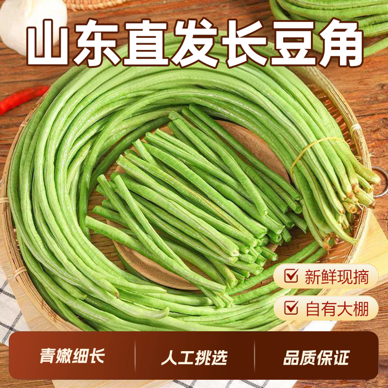 山东新鲜长豆角肉厚甜嫩豇豆农家种植农家蔬菜现摘现发脆嫩豆角