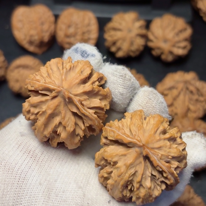 文玩核桃吊坠用****3秦岭野生灯笼22