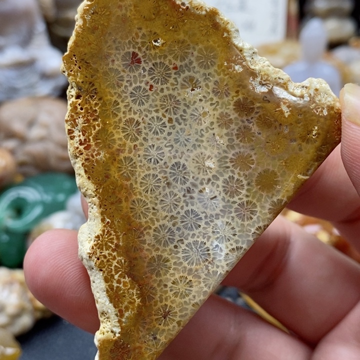 石英质玉颈饰未镶嵌片料