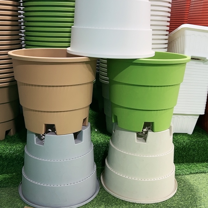 正品蓝莓盆口39高33白色3个无托