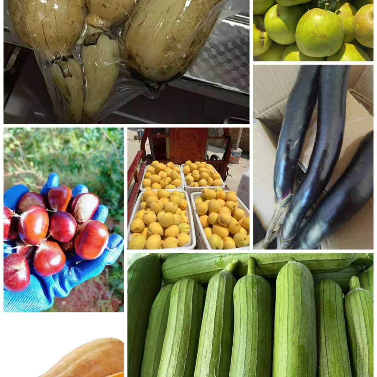 农村各类农家蔬菜土特产现场称重（一物一拍，直播付款）