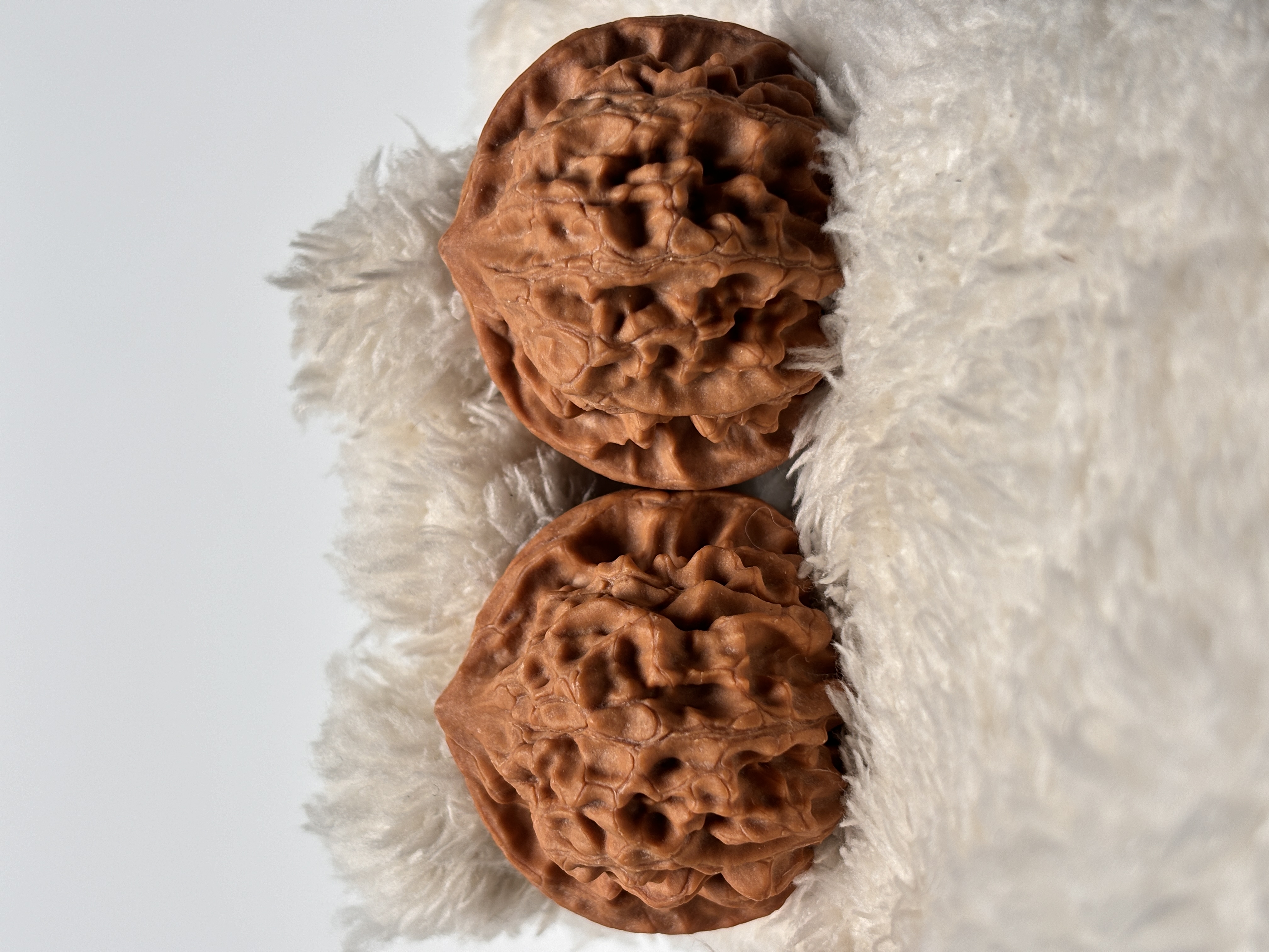 全品野生原树水晶蜡皮火烧云（太行龙脊）货头41/39/35 编号1428S