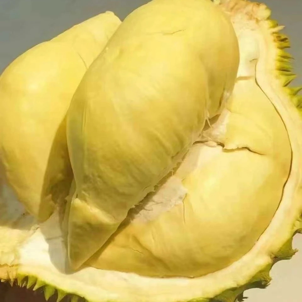 新鲜越南金枕榴莲纯肉800-1000克肉厚核小金枕越南