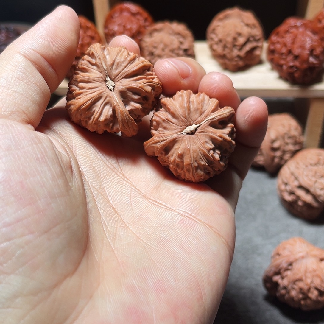 *****文玩核桃把件白狮子