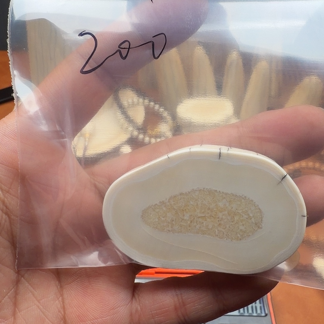 ****咖白玉菩提吊坠饼子34g