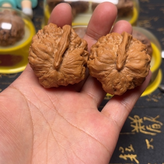 哈码头异形全品无修