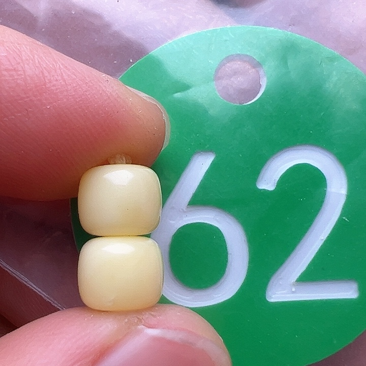 蜜蜡裸石未镶嵌花粉7m m