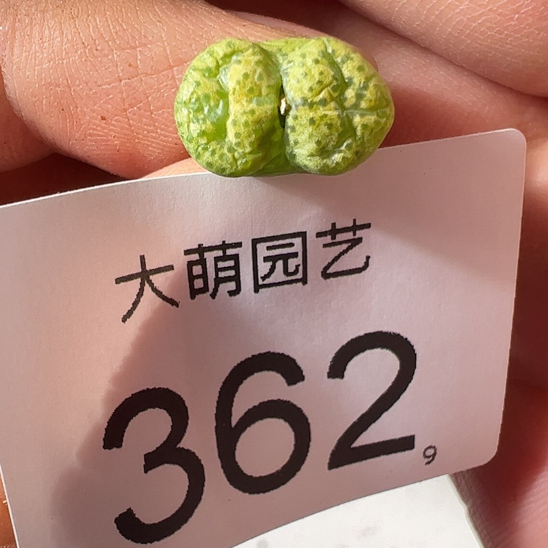 0000362 一物一拍……