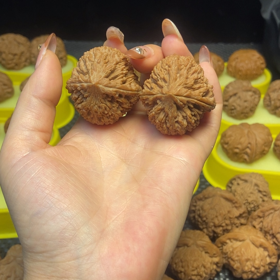 核桃大蒜头38全品白茬