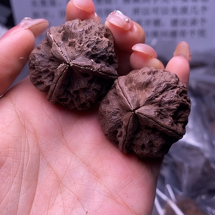 核桃云南野生铁核桃66号35mm