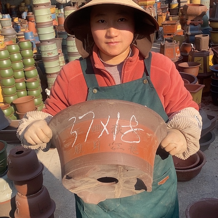 紫砂花盆盆栽花卉苗木种植