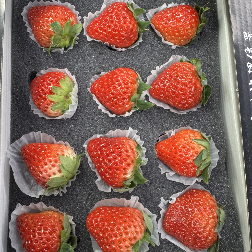 （中果）九九草莓2盒，每盒毛重350克，辽宁