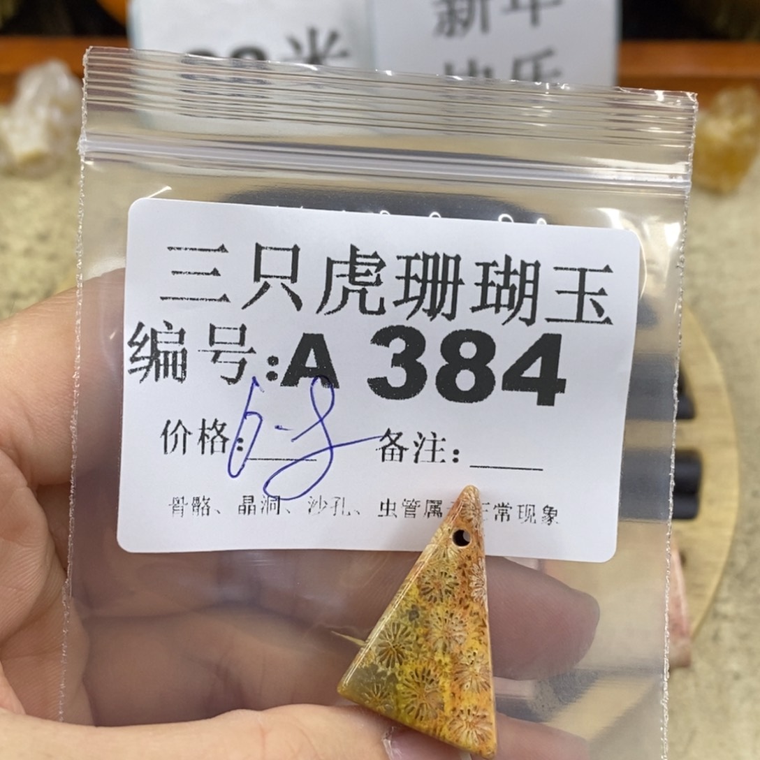 硅化珊瑚（珊瑚玉）1未镶嵌元*