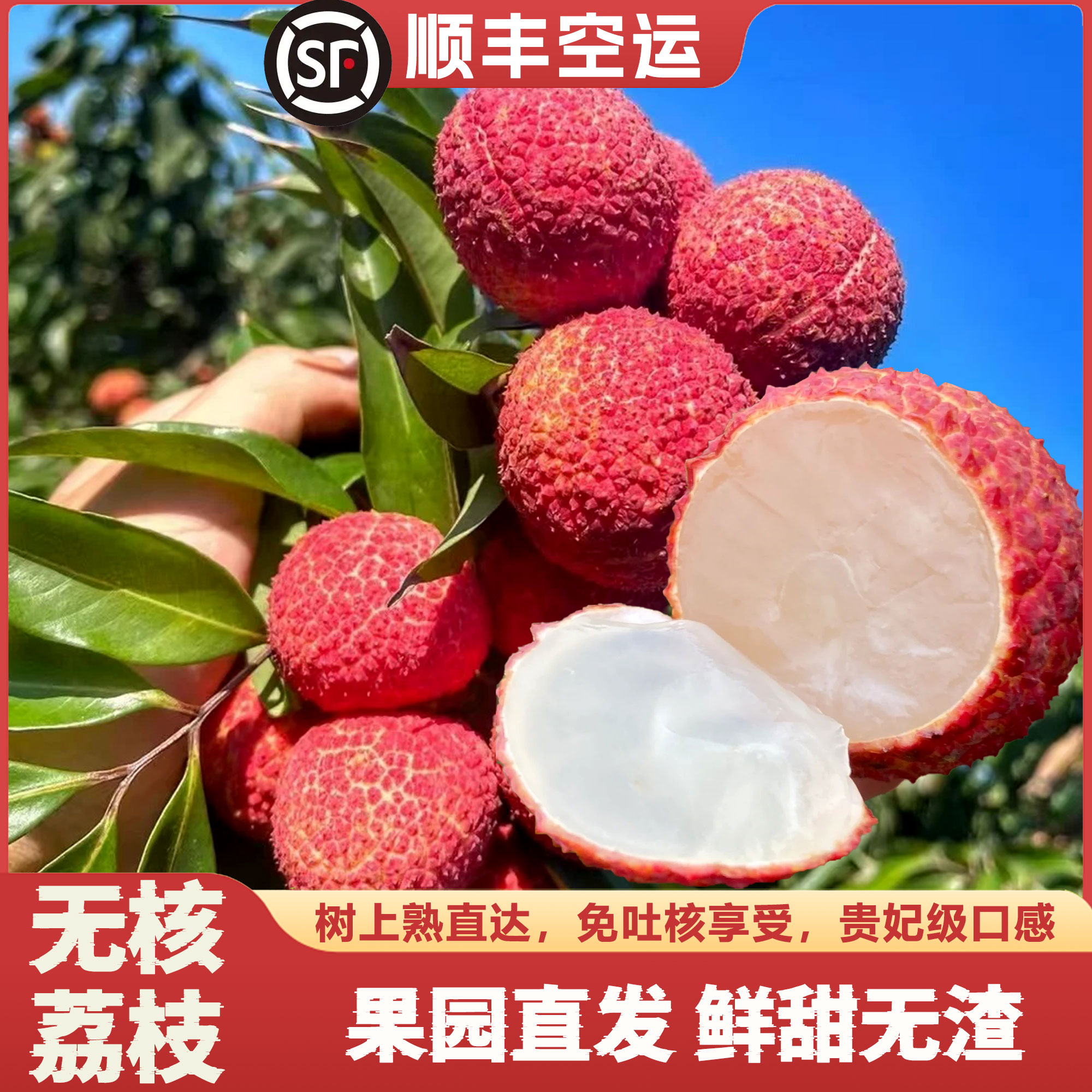 【顺丰包邮】无核荔枝大果5斤新鲜水果当季巨无霸礼盒装无籽3斤现摘