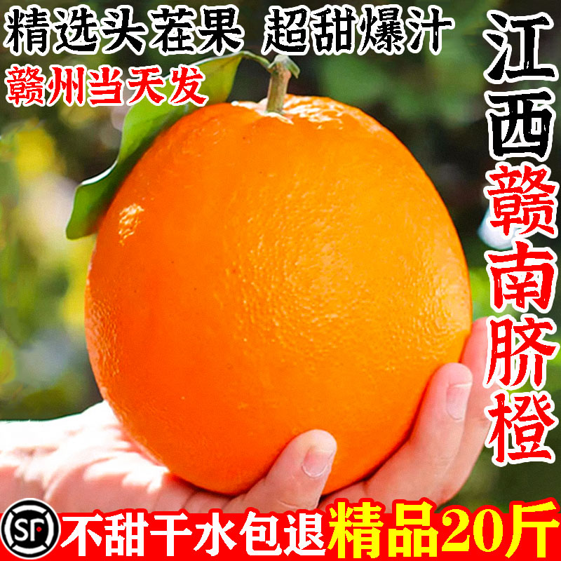 江西赣南脐橙橙子新鲜水果10斤特大榨汁专用冰糖果冻夏甜批发商用