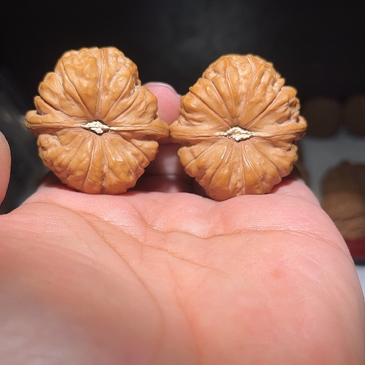 安***步木42南瓜敦。        