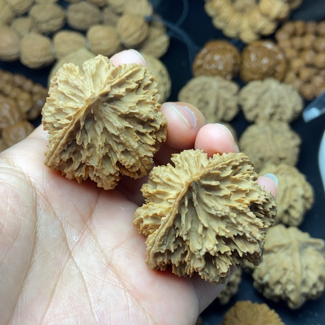 文玩核桃把件秦岭核桃菊花灯笼43