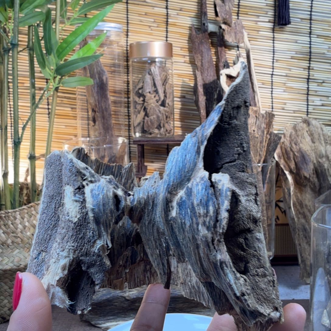 沉香沉香碎屑沉香虎斑棋59g