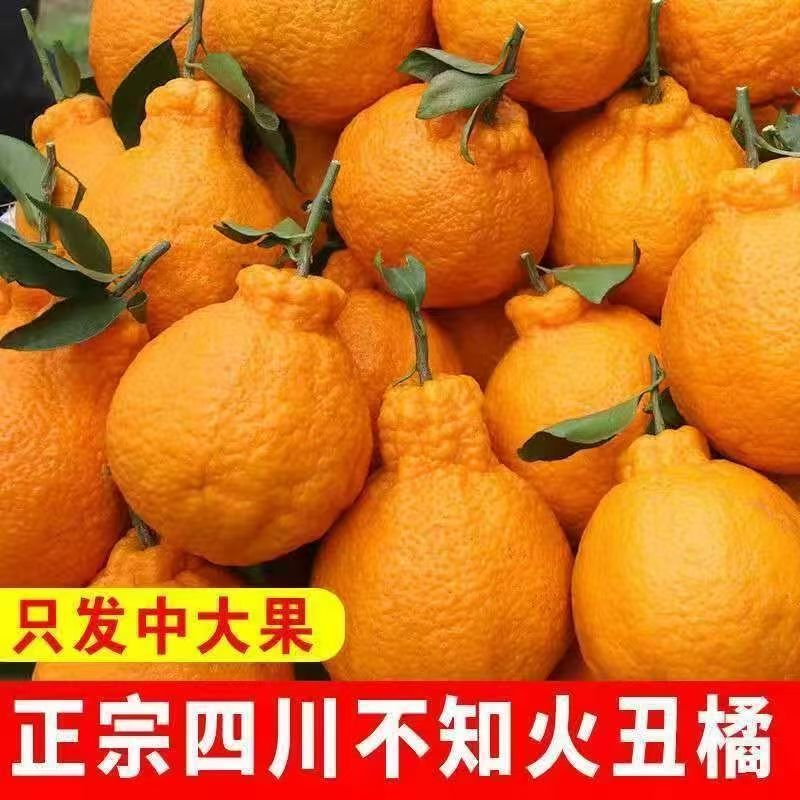 正宗四川不知火丑橘新鲜应季水果多汁美味