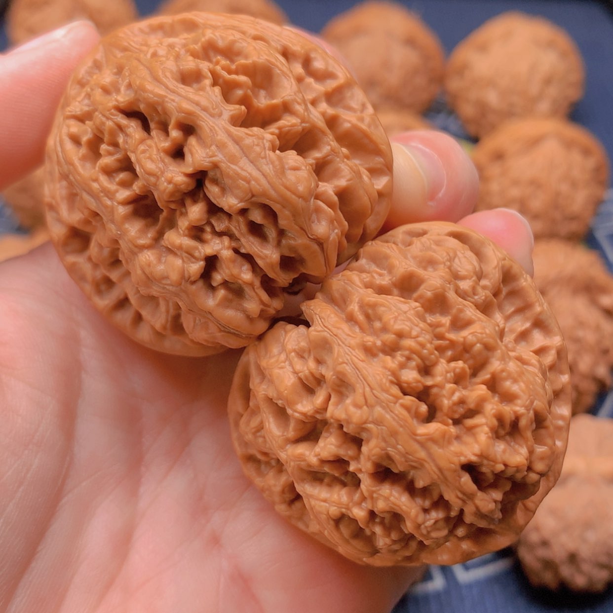 【闪购商品】文玩核桃把件粗筋43