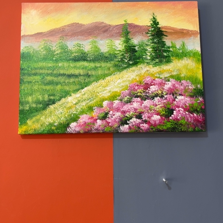 手工手绘精品油画30+40内框