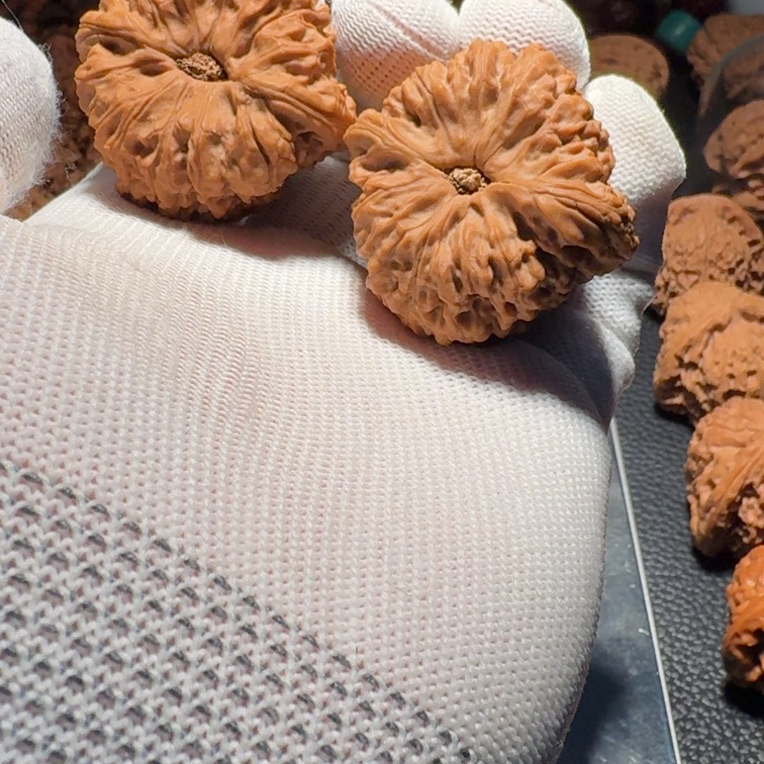 李***.吊坠文玩核桃有修有黄有色差