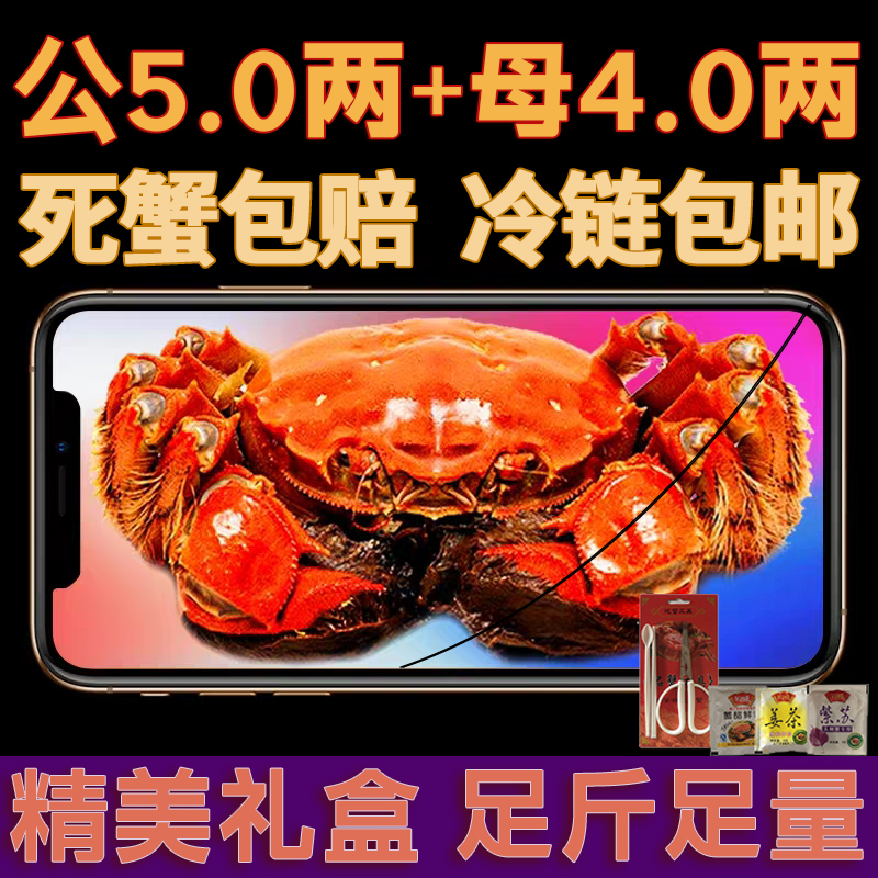 【预约过年发】大 螃蟹公母蟹公5两+母4两8只直播加赠2只到手10只大杂蟹礼盒顺丰京东冷链大匣蟹