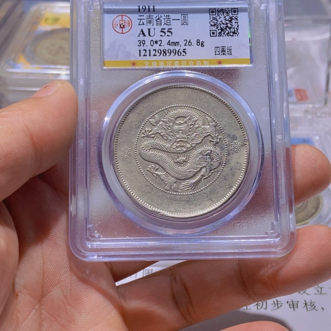 银宁*国福89965云南困龙壹圆银币