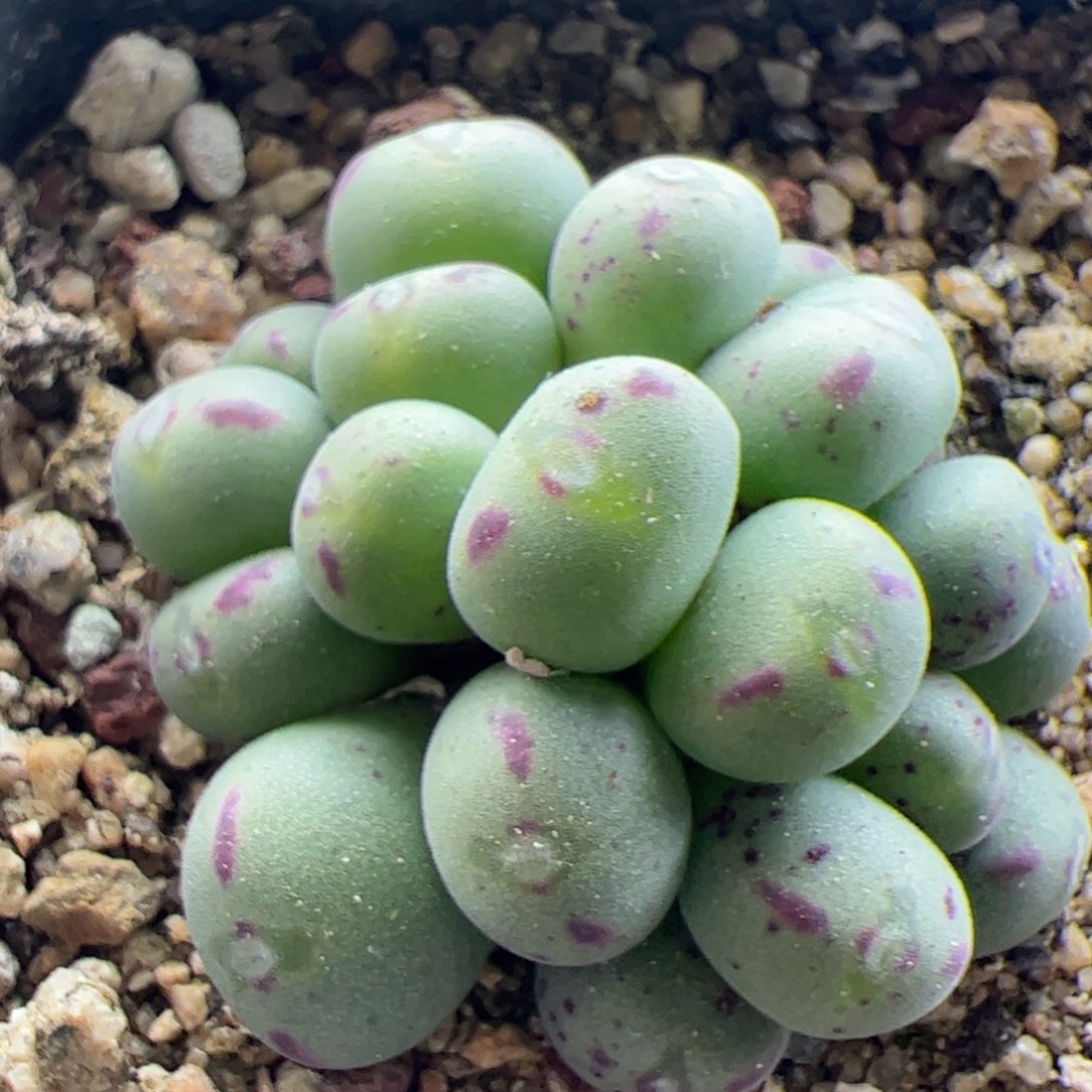 大家过年好23205