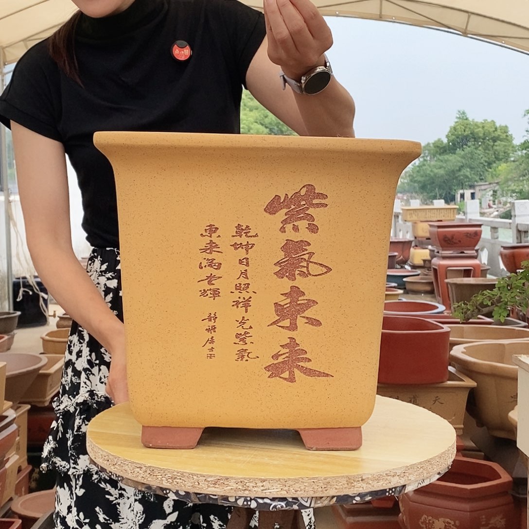 紫砂花盆紫砂花盆