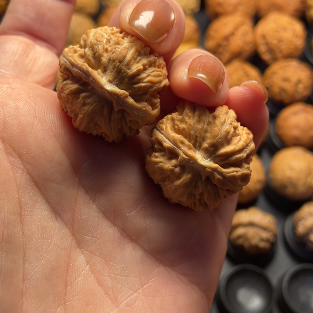 甄****文玩核桃把件核桃