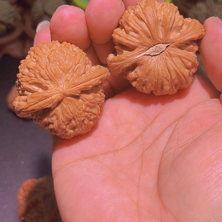 文玩核桃把件白狮子