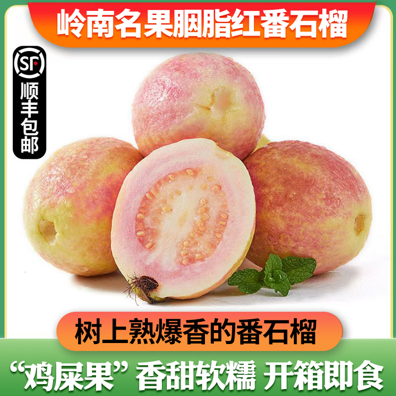广东增城胭脂红番石榴香甜红心芭乐软糯低糖现摘应季水果顺丰包邮