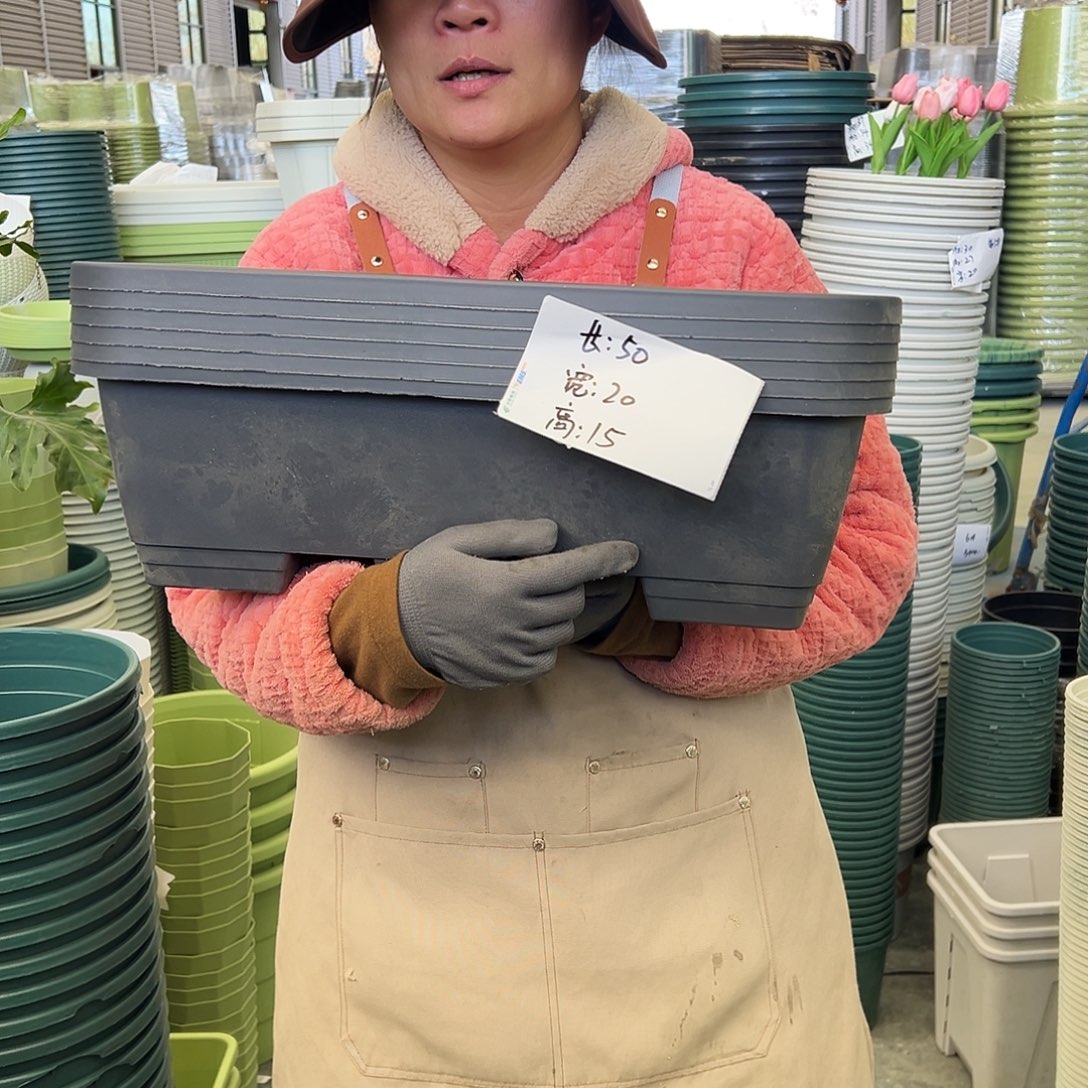 瑕疵菜盆长50#灰黑色6个无托