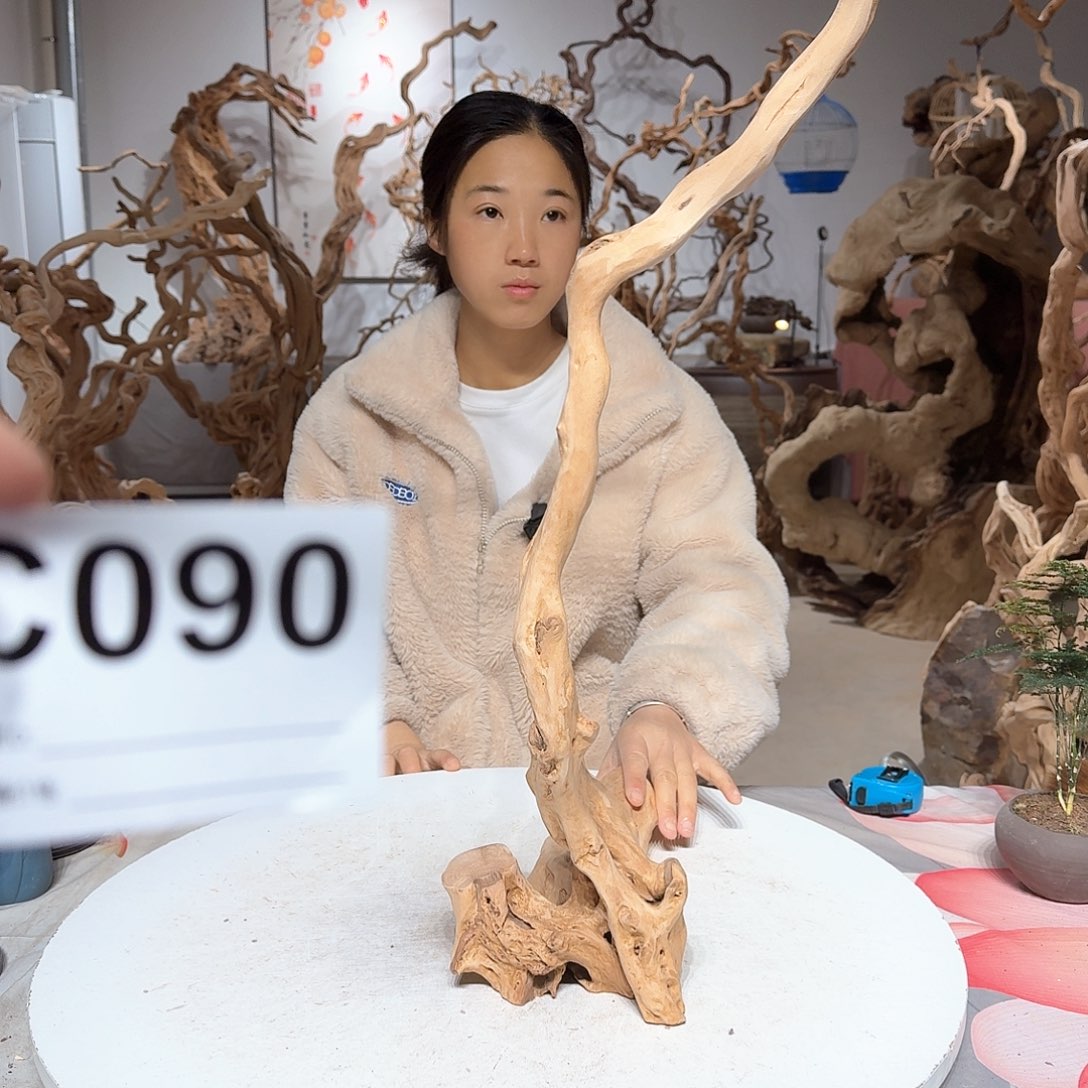 风车木（黑檀木）《****》