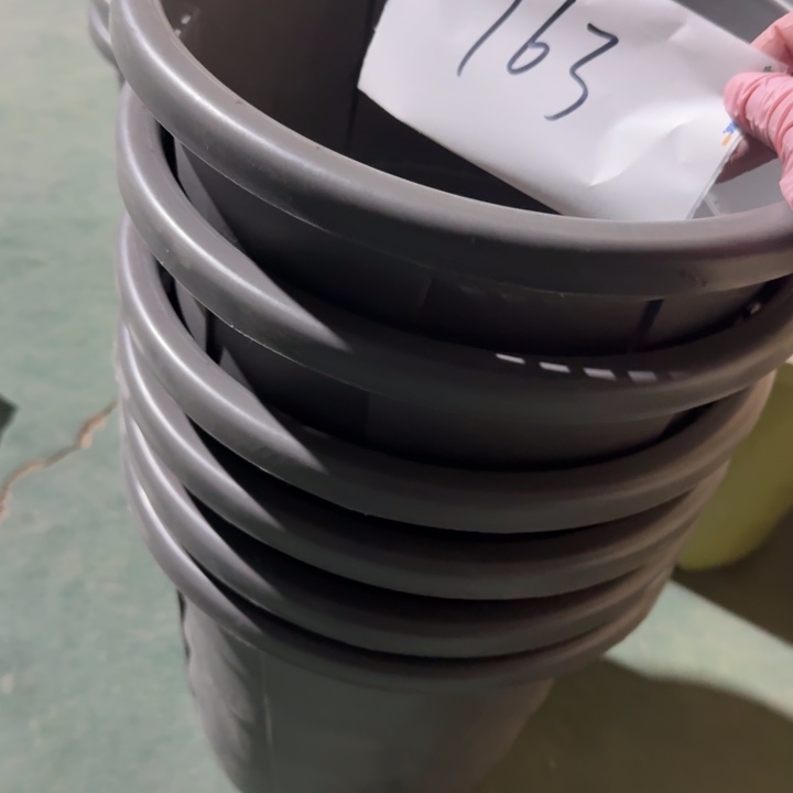 编号763微瑕微瑕