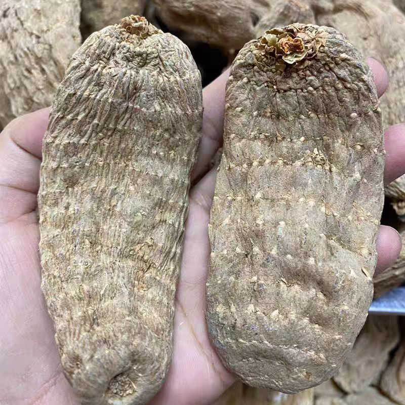 天麻乌天麻可以泡酒或者煲汤