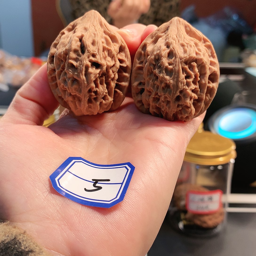 【闪购商品】吊坠文玩核桃老树鸡心 39尺