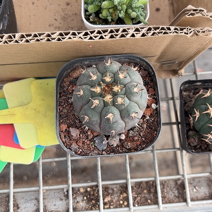 宇***秀我也不知道我为什么要