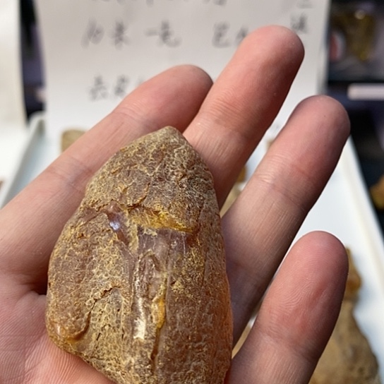 裸石琥珀未镶嵌༄**꧂