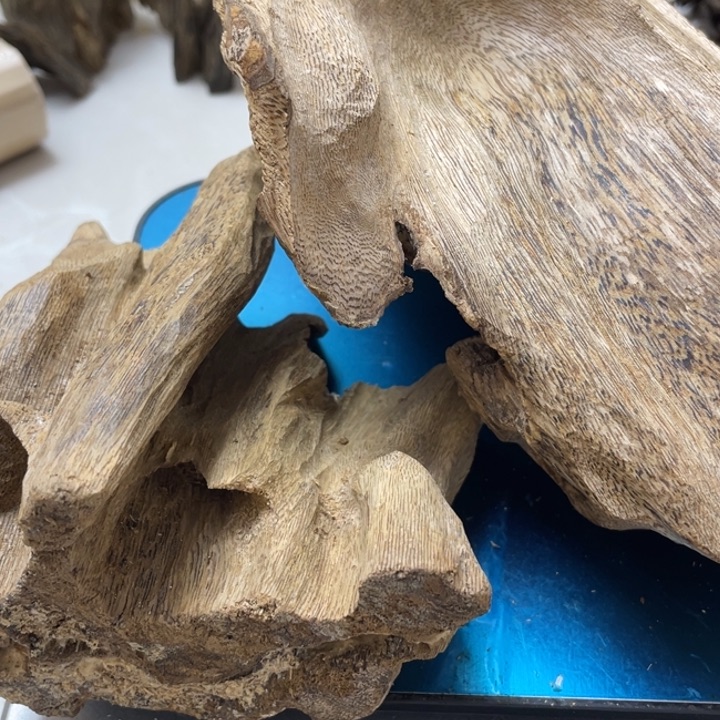 哈***咪沉香沉香碎屑熟结陆河310g