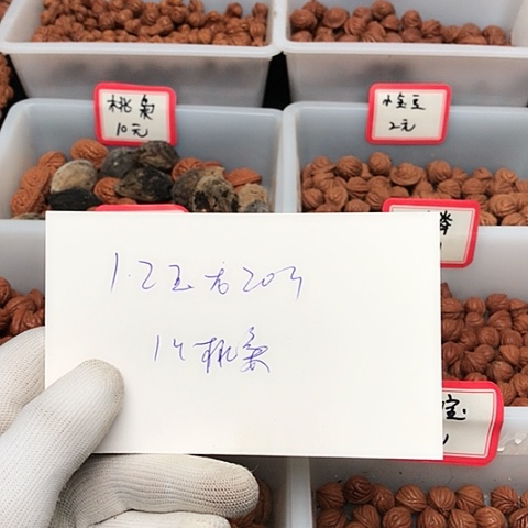 桃核吊坠浮**梦龙纹桃核的搭配