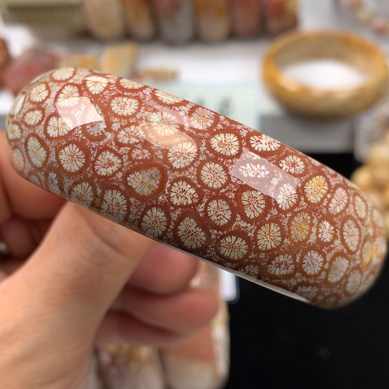 【闪购商品】硅化珊瑚（珊瑚玉）手镯未镶嵌（9号）60红豹纹