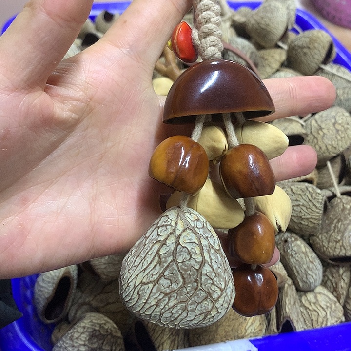 *****吊坠千眼菩提果壳