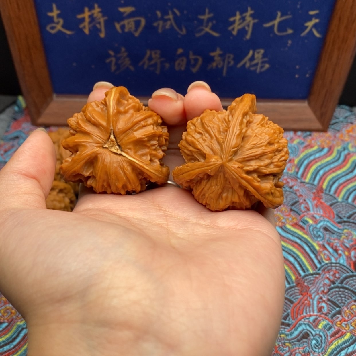 【闪购商品】小*白狮