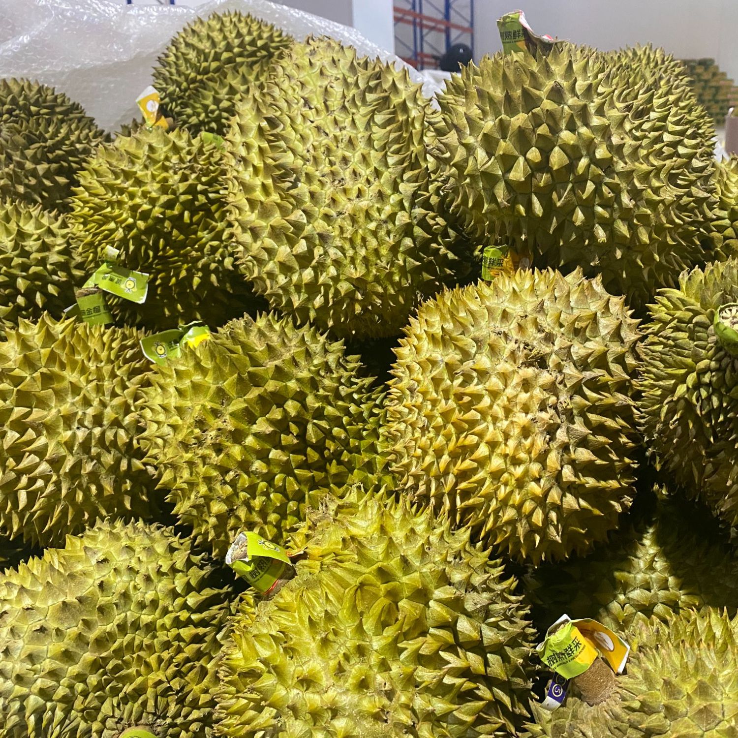 【顺丰或邮政空运】双A金枕新鲜榴莲整颗鲜果带壳金枕软糯香甜核小